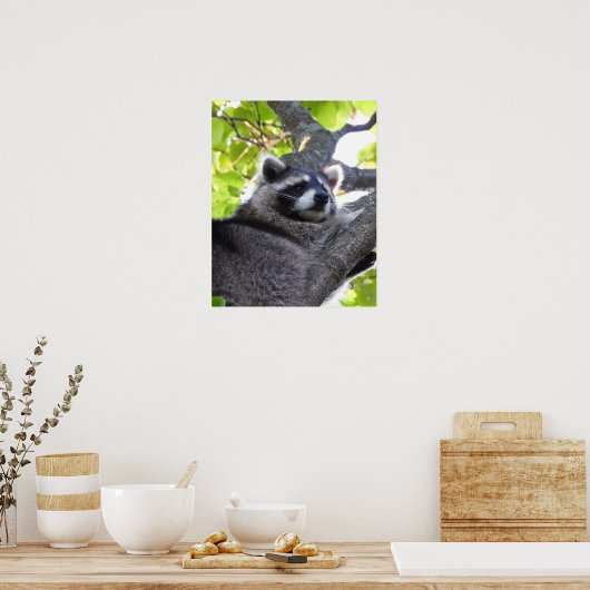 Poster sur Raccoon (Cuisine)