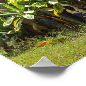 Poster Surboard Fence Maui, HI (Coin)