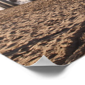 POSTER SURF (Coin)