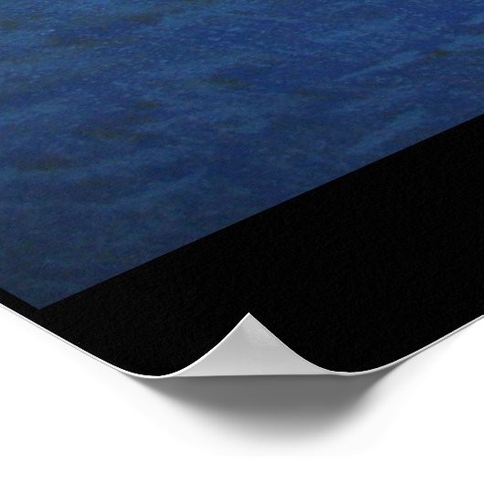 Poster Surf des requins (Coin)