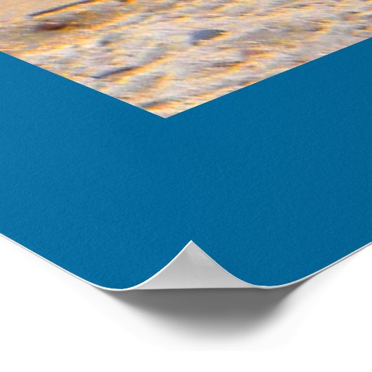 Poster SURF ! - Oies (Coin)