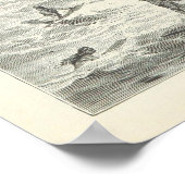 Poster Surf, Sandwich Islands (Coin)