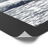 Poster Surf Seagull (Coin)