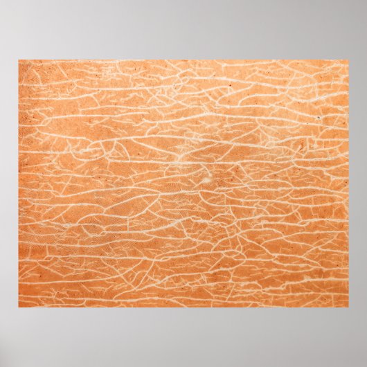 Poster surface Brown (Devant)