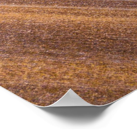 Poster surface Brown en bois (Coin)