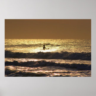 Poster surfer
