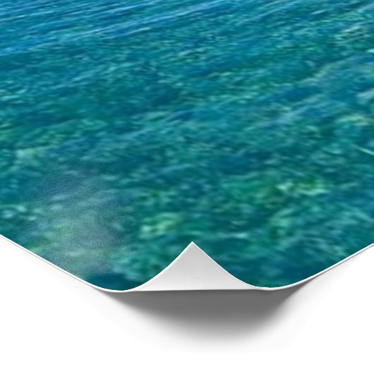 Poster Surfeur de surf (Coin)