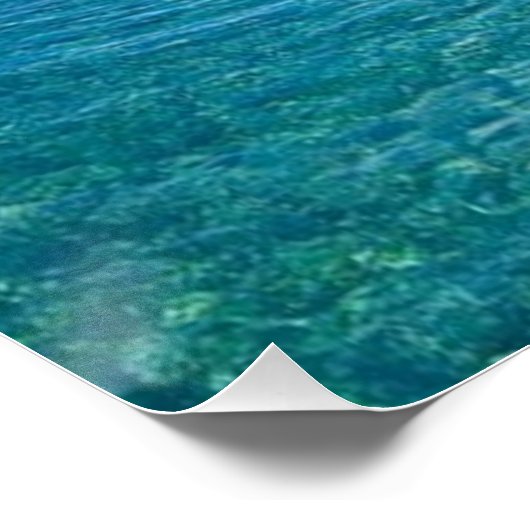 Poster Surfeur de surf (Coin)