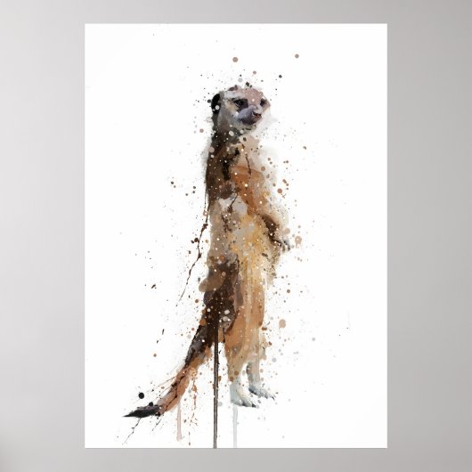 Poster Suricate (Devant)