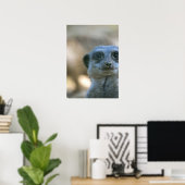 Poster Suricate drôle (Bureau à domicile)