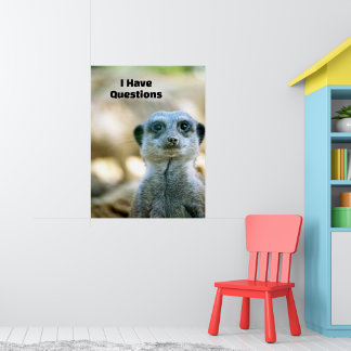 Poster Suricate drôle J'ai des questions Humour animal