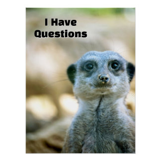 Poster Suricate drôle J'ai des questions Humour animal
