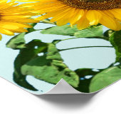 Poster Suricate mignon et tournesols (Coin)