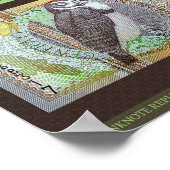 Poster Surinam 25,000 Gulden Réplique de billets 10x8 pho (Coin)