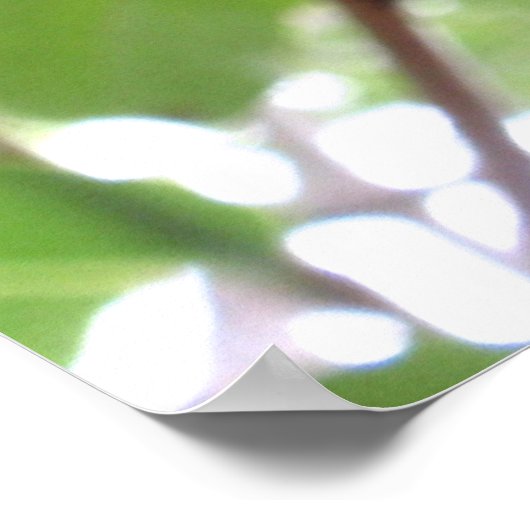 Poster Surinam Cherries (Coin)