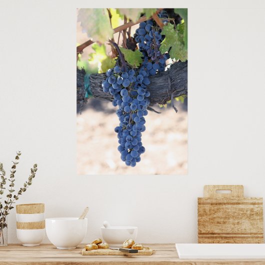 Poster SurLaVine (Cuisine)