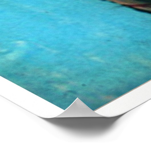 POSTER "SURMONTER AVEC LONGUEMENT" (Coin)