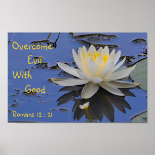 Poster Surmonter Le Mal Avec Une Bonne Lily
