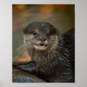 Poster Surprise (Devant)