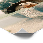 Poster Surreal art Inspiration Turtle citation (Coin)