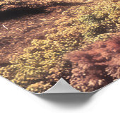 Poster Surreal Desert House with Underwater Reef (Coin)