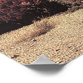 Poster Surreal Desert Ocean with Door (Coin)