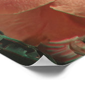 Poster Surreal Eyes and Flowers with Butterflies (Coin)