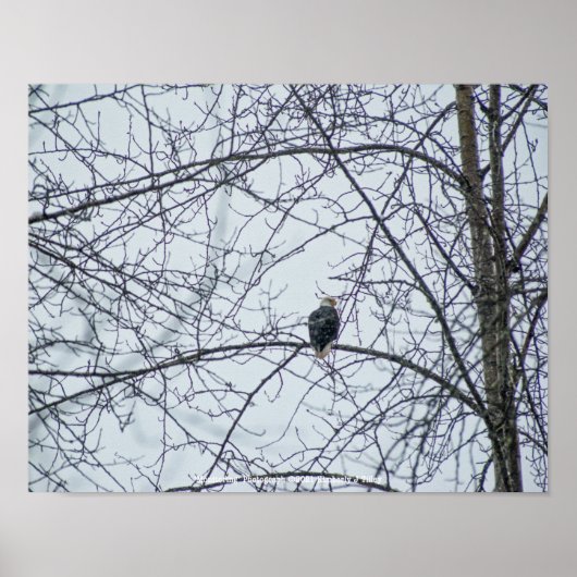 Poster Surveillance (Devant)