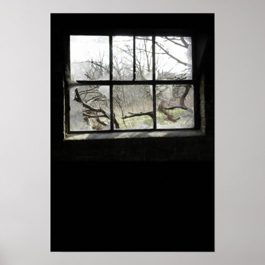 Poster Surveillance de la fenêtre (Devant)