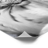 Poster Surveillé (Coin)