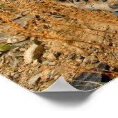 Poster Surveiller (Coin)