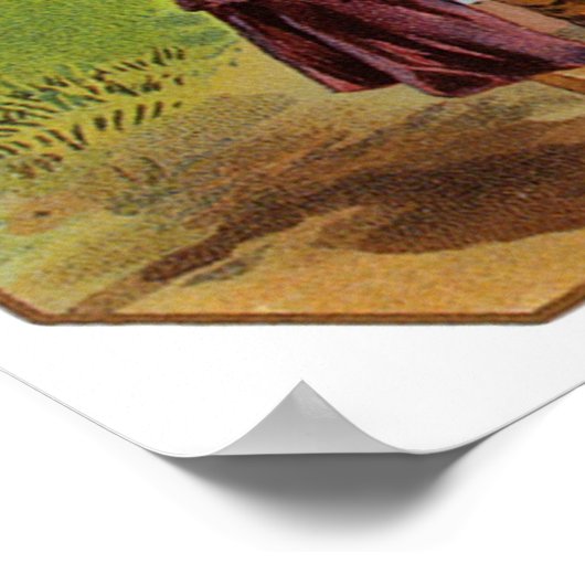 Poster Surveyor (Coin)