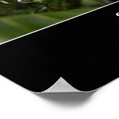 Poster Survie : Citation Inspirationnelle 2 (Coin)