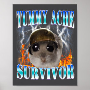 Poster Survivant des maux de ventre Hamster Meme Citation