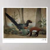 Poster Survivants : Pantolambda et Dinosaure post-crétacé (Devant)