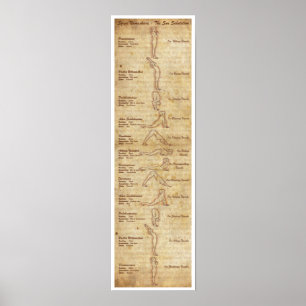 Poster Suryanamaskara - Salutation Soleil - Portrait