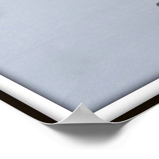 Poster Susan B. Anthony Grave Headstone (Coin)