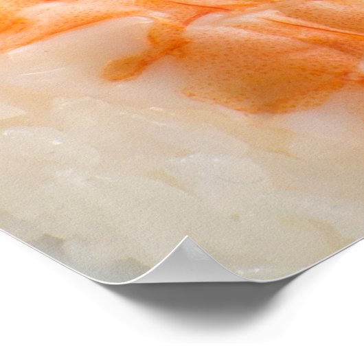 Poster Sushi Sashimi Platter (Coin)