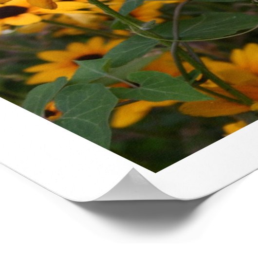 Poster Sushis aux yeux noirs (Coin)