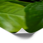 Poster Suspended Nature (Coin)