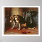 Poster Suspension (Devant)