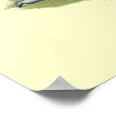 Poster Sussex : Hen Speckled (Coin)