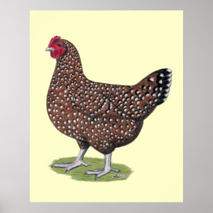 Poster Sussex : Hen Speckled