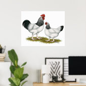 Poster Sussex : Paire Légère (Bureau à domicile)