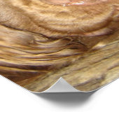 POSTER SUSSEX RÉFLÉCHI (Coin)