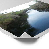 Poster Suwannee River View Floride (Coin)