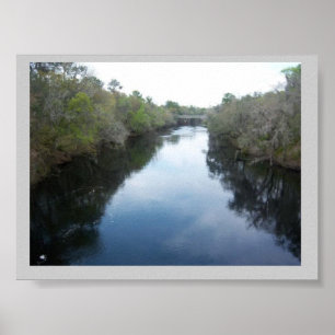Poster Suwannee River View Floride
