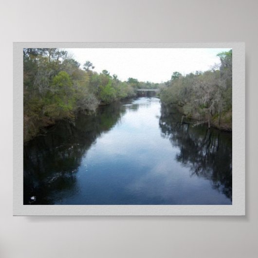 Poster Suwannee River View Floride (Devant)