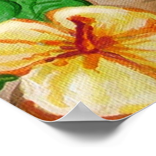 Poster Suzette aime les îles (Coin)