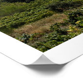 Poster Suzette, France (Coin)